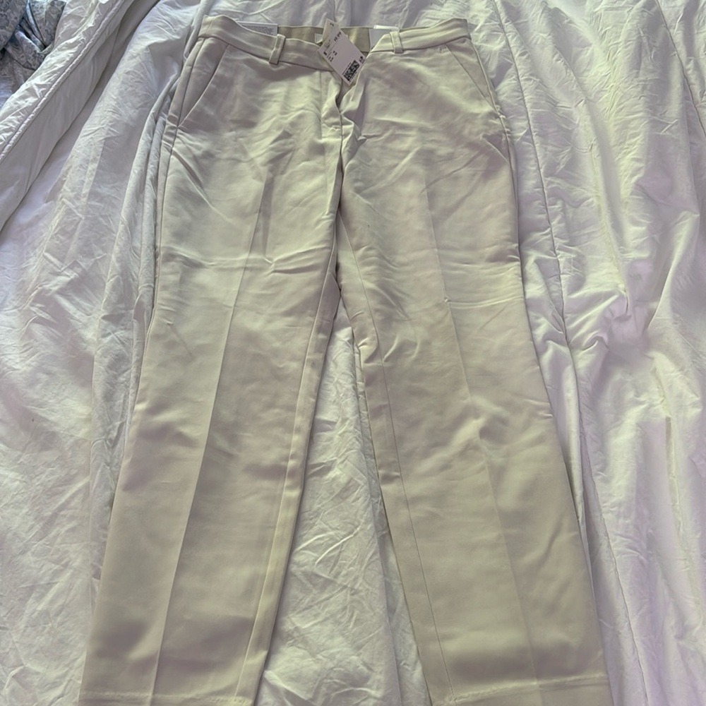 Dress pants